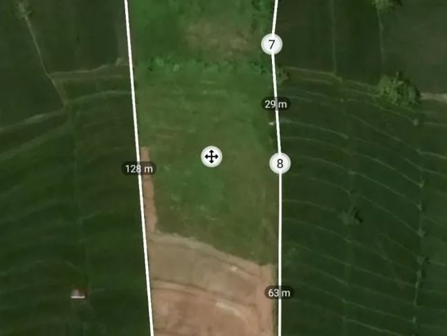 LMD-169693409639