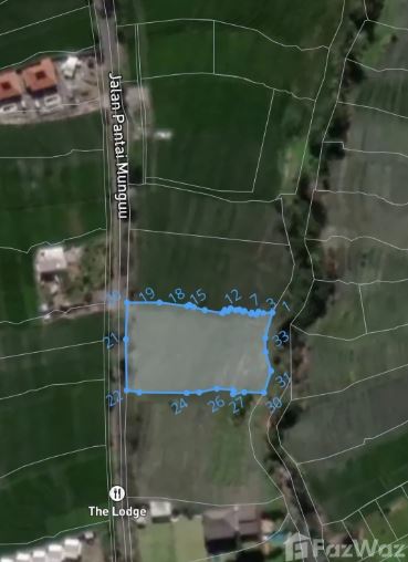 U5858951